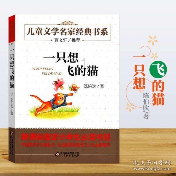 建行济宁金乡支行：情系大众，服务民生