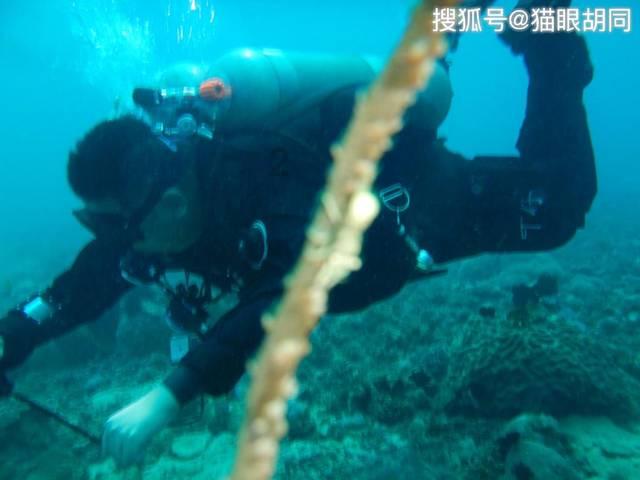 发现古老遗迹