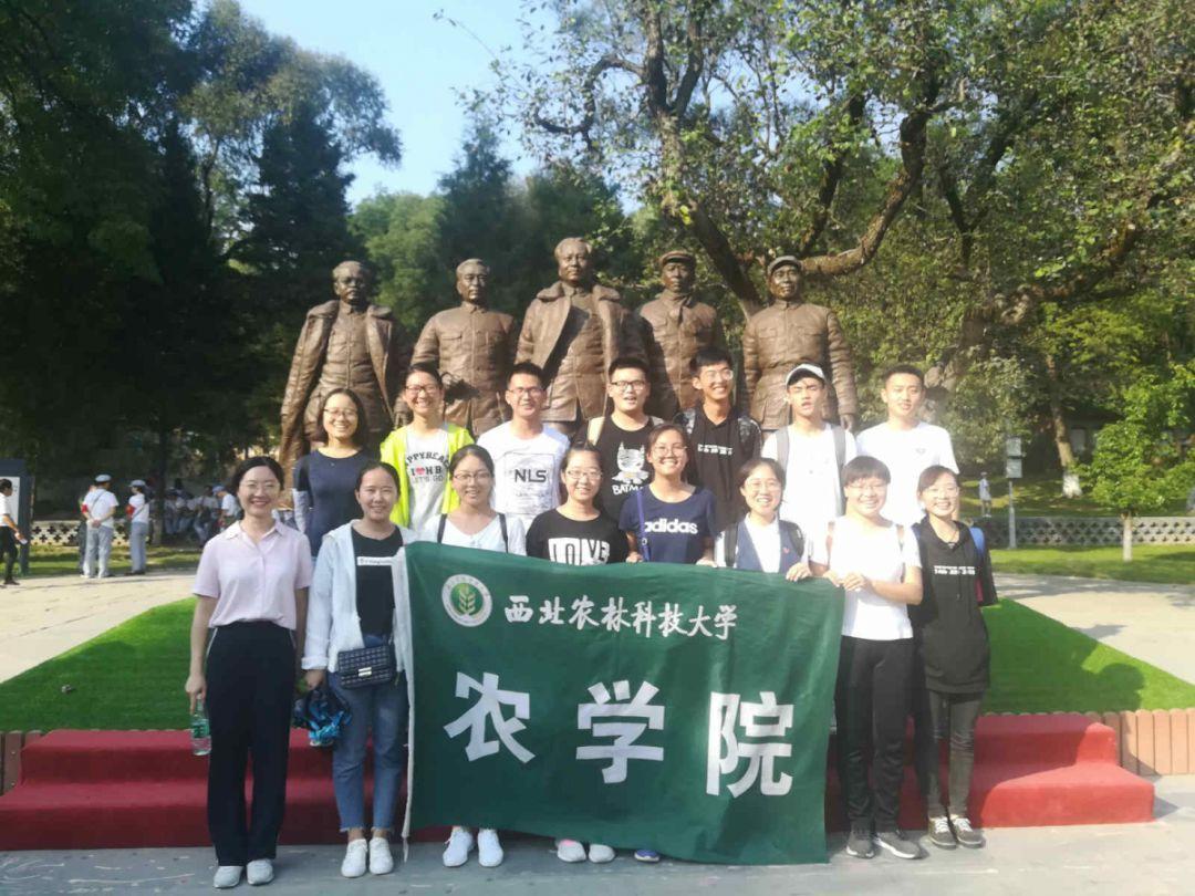 怎么做肉夹馍呢？配方是什么呢？游戏画面