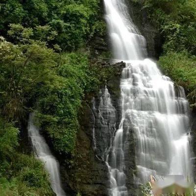 幽幽梦游记