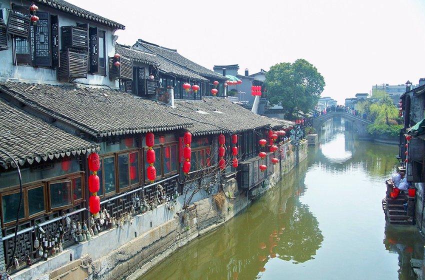 敏捷的白球
